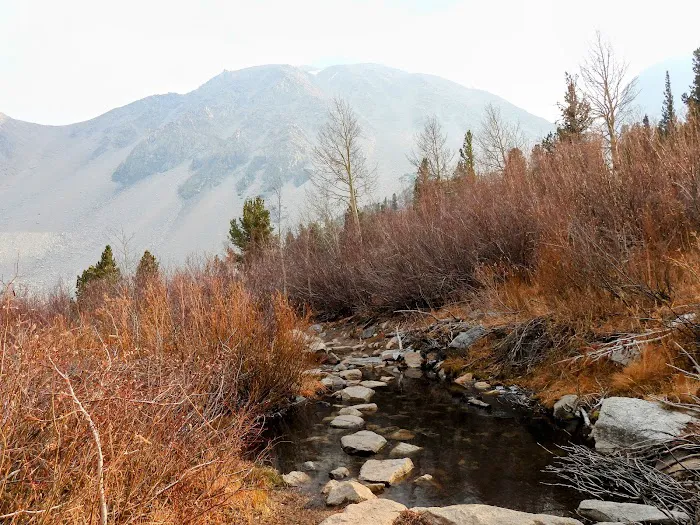 Big Pine Creek Campground 4