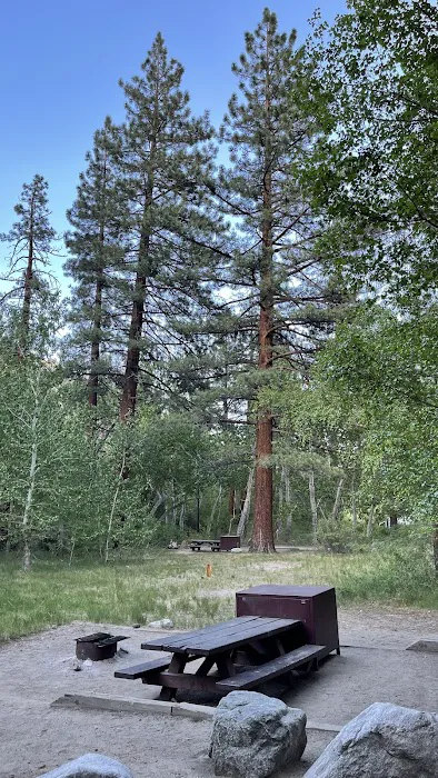 Big Pine Creek Campground 7