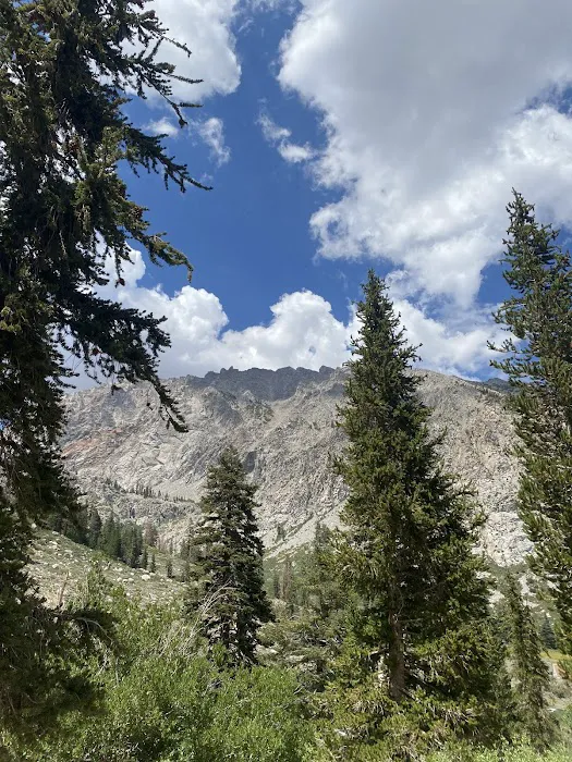 Onion Valley Campground 4