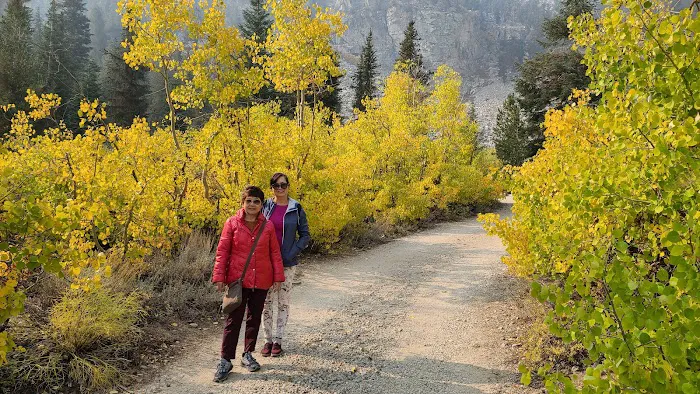 Onion Valley Campground 8