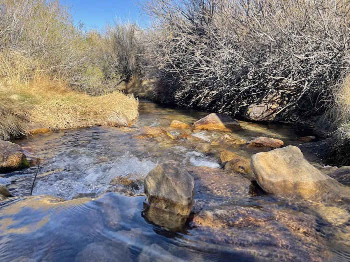 Tuttle Creek Campground 5