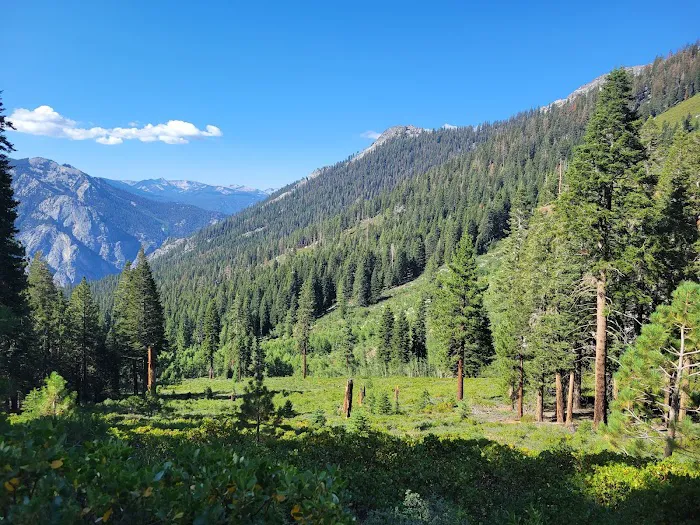 Upper Tent Meadow campsite 3