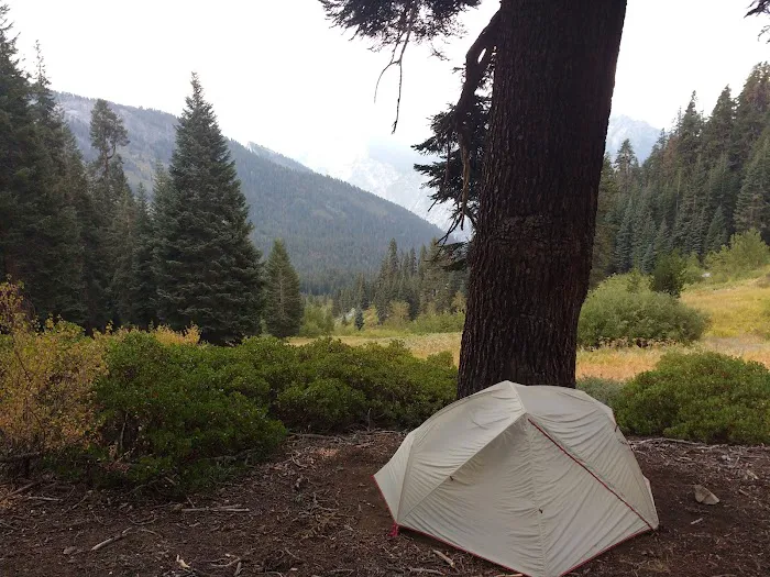 Upper Tent Meadow campsite 2
