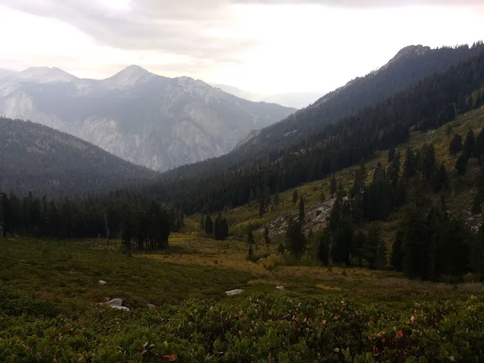 Upper Tent Meadow campsite 1