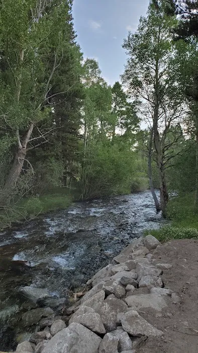 Table Mountain Group Campground 3