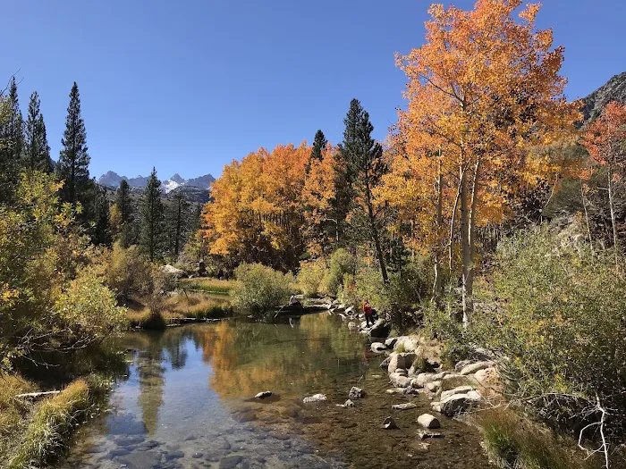 Table Mountain Group Campground 4