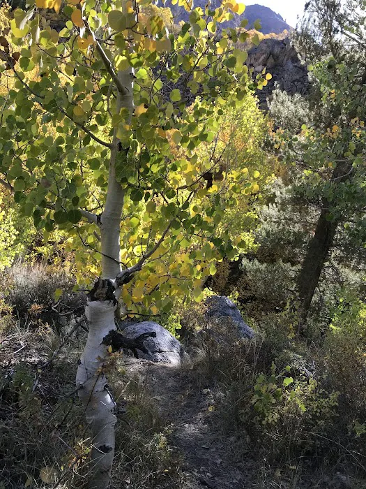 Mountain Glen Campground 1