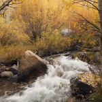 Mountain Glen Campground