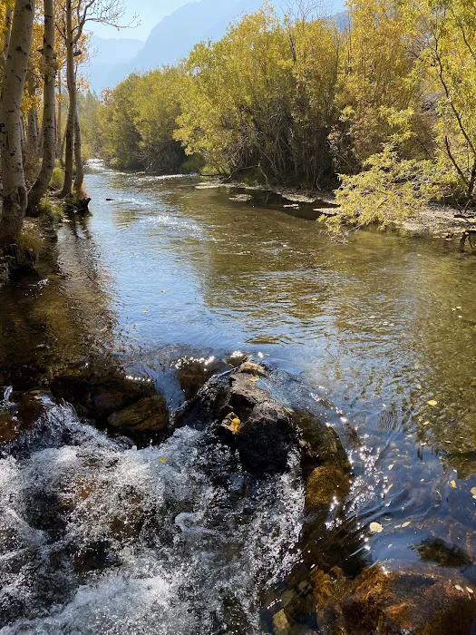 Mountain Glen Campground 6