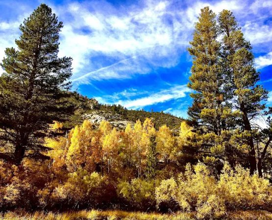 Sabrina Campground