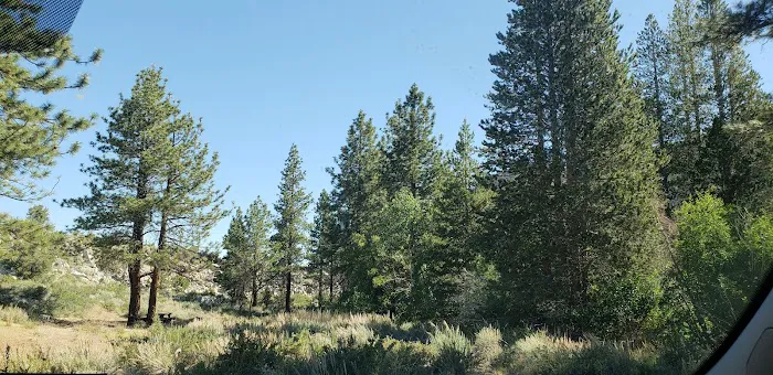 Forks Campground 7