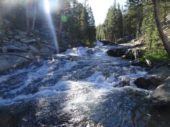Lower Pine Grove Campground 4