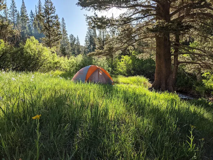 Lower Pine Grove Campground 8