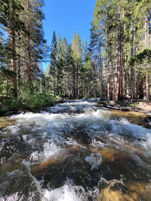 East Fork 0