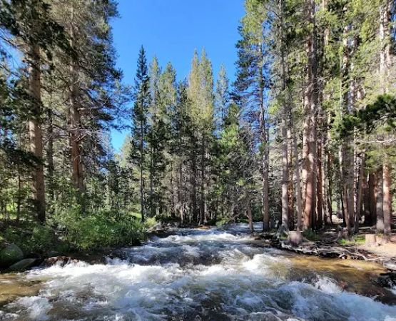 East Fork