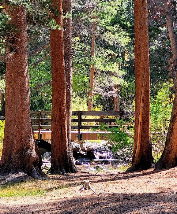 East Fork 8