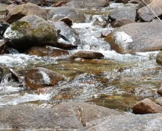 Rock Creek Lake Campground