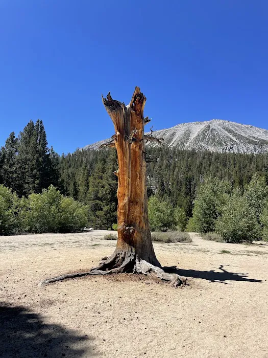Rock Creek Lake Campground 6