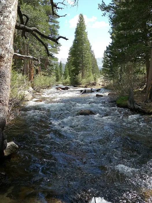Palisade Group Campground 0