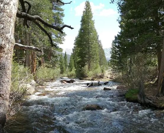 Palisade Group Campground