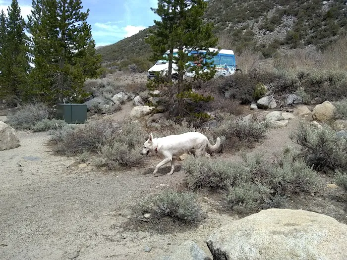 Palisade Group Campground 2