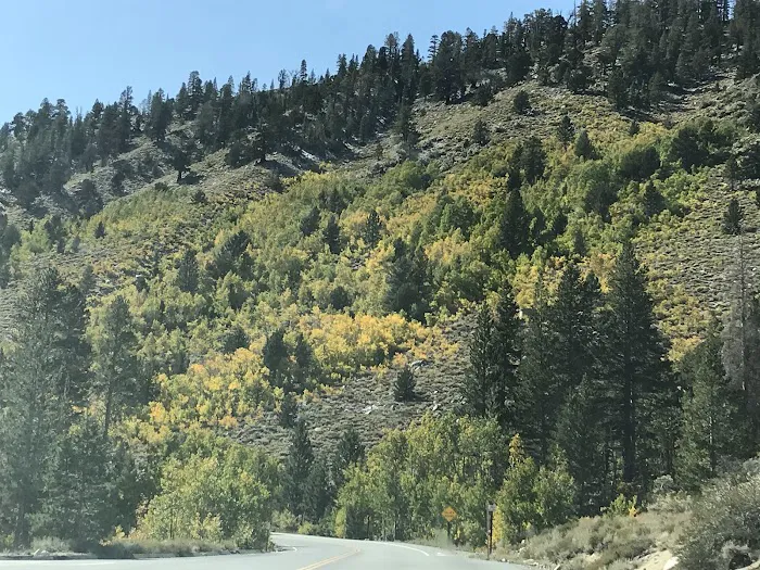 Palisade Group Campground 7