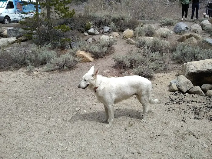 Palisade Group Campground 3