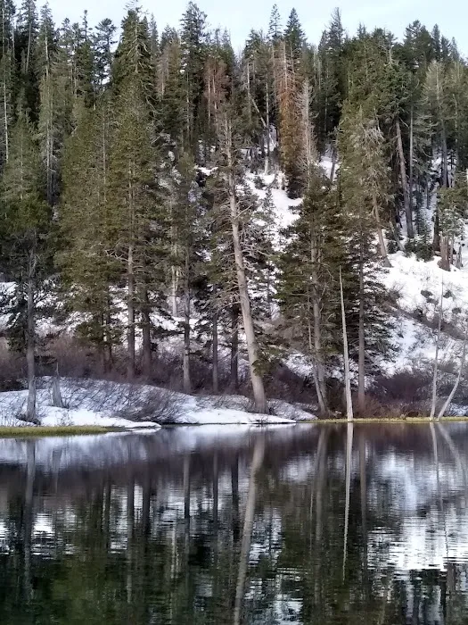 Palisade Group Campground 8