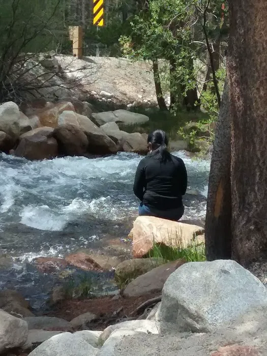 Palisade Group Campground 9