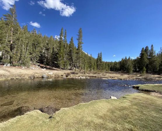 Mosquito Flats Walk-in Campground