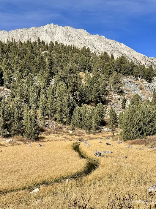 Mosquito Flats Walk-in Campground 2