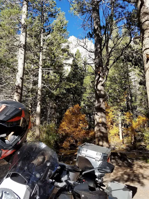 Big Meadow Campground 5