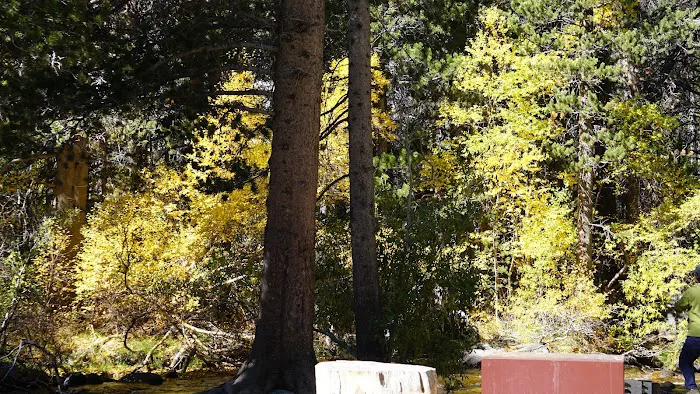 Big Meadow Campground 9