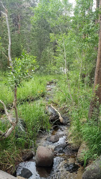 Big Meadow Campground 4