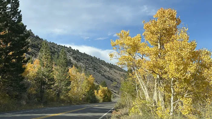 Big Meadow Campground 0