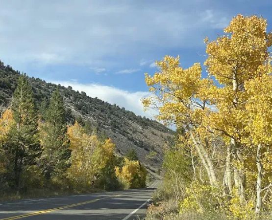 Big Meadow Campground
