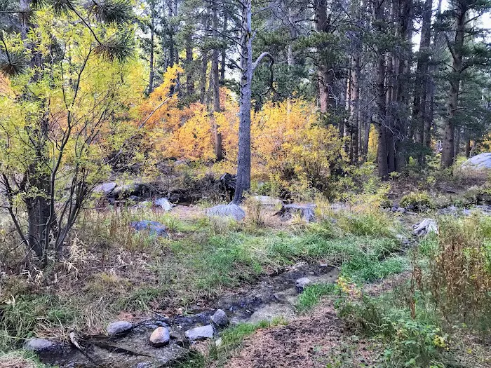 Big Meadow Campground 6