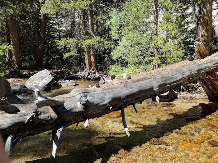 Big Meadow Campground 8