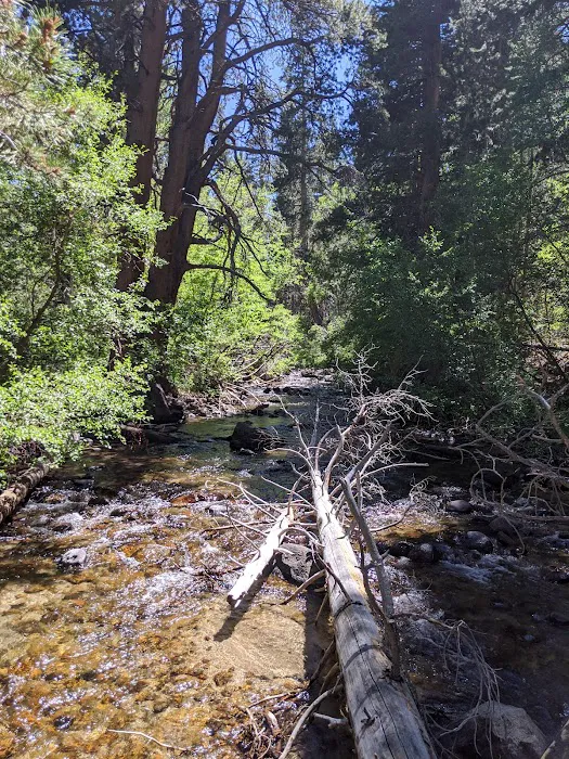 Iris Meadow Campground 4