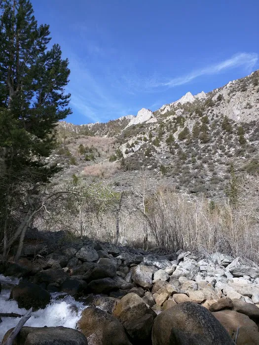 Iris Meadow Campground 7
