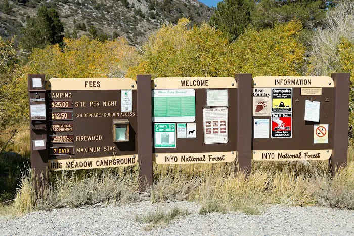 Iris Meadow Campground 1