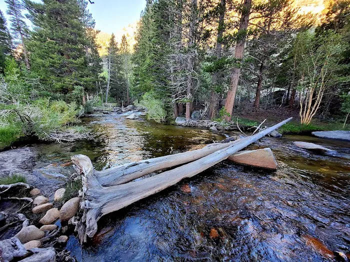 Iris Meadow Campground 6