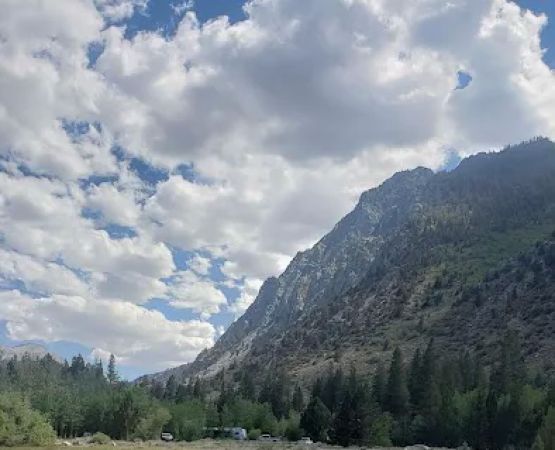 Iris Meadow Campground