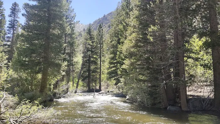 Iris Meadow Campground 9