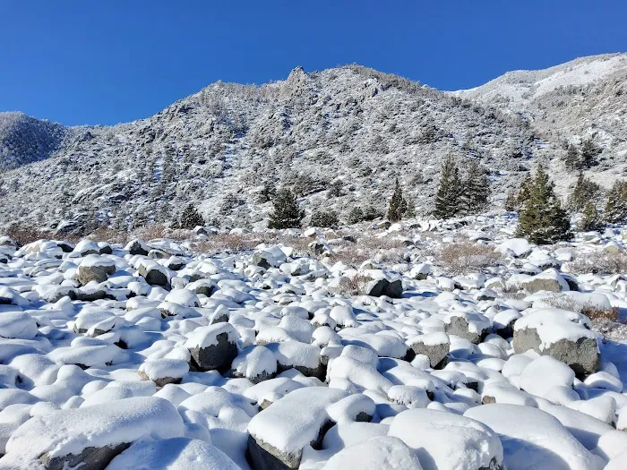 Aspen Group Campground 5