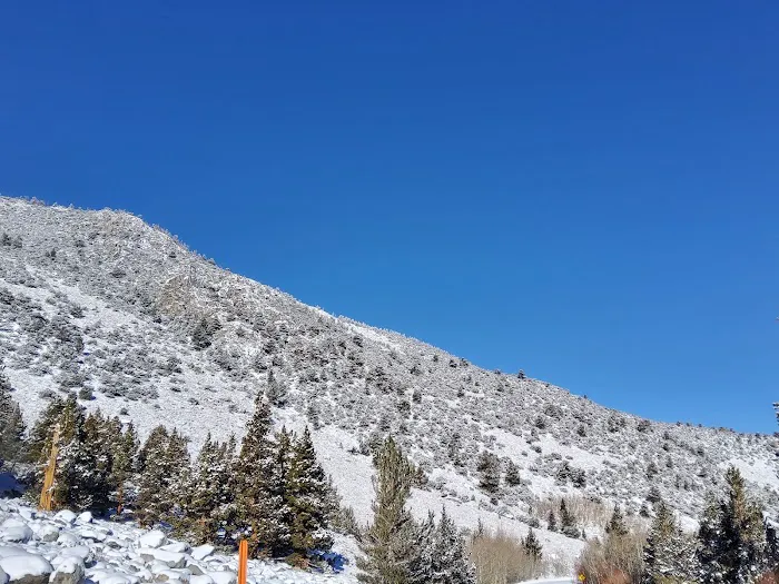 Aspen Group Campground 3