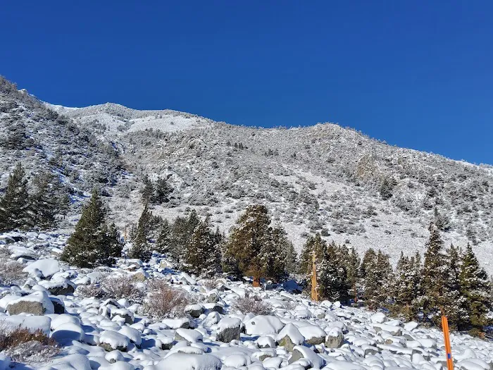 Aspen Group Campground 8