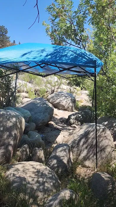 Lower Springhill Campground 9