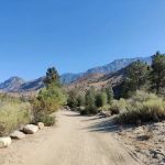 Lower Springhill Campground