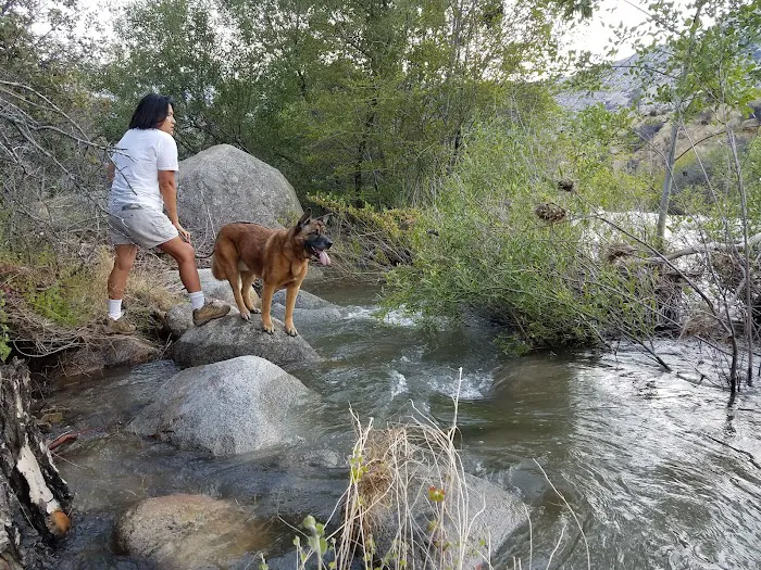 Hospital Flat Campground 2